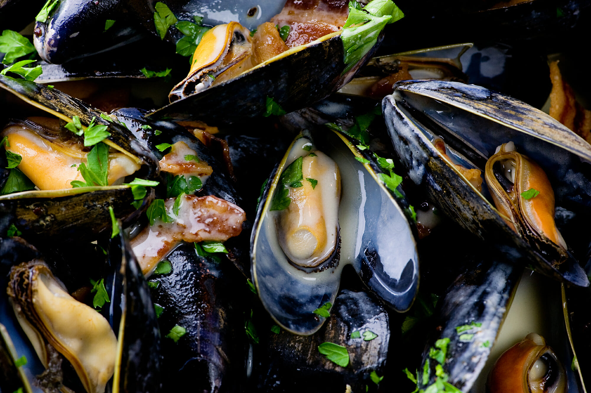 Cider Mussels Framed Cooks