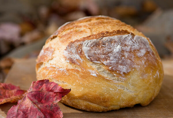 Artisan No Knead Dutch Oven Beer Bread Recipe » Not Entirely Average