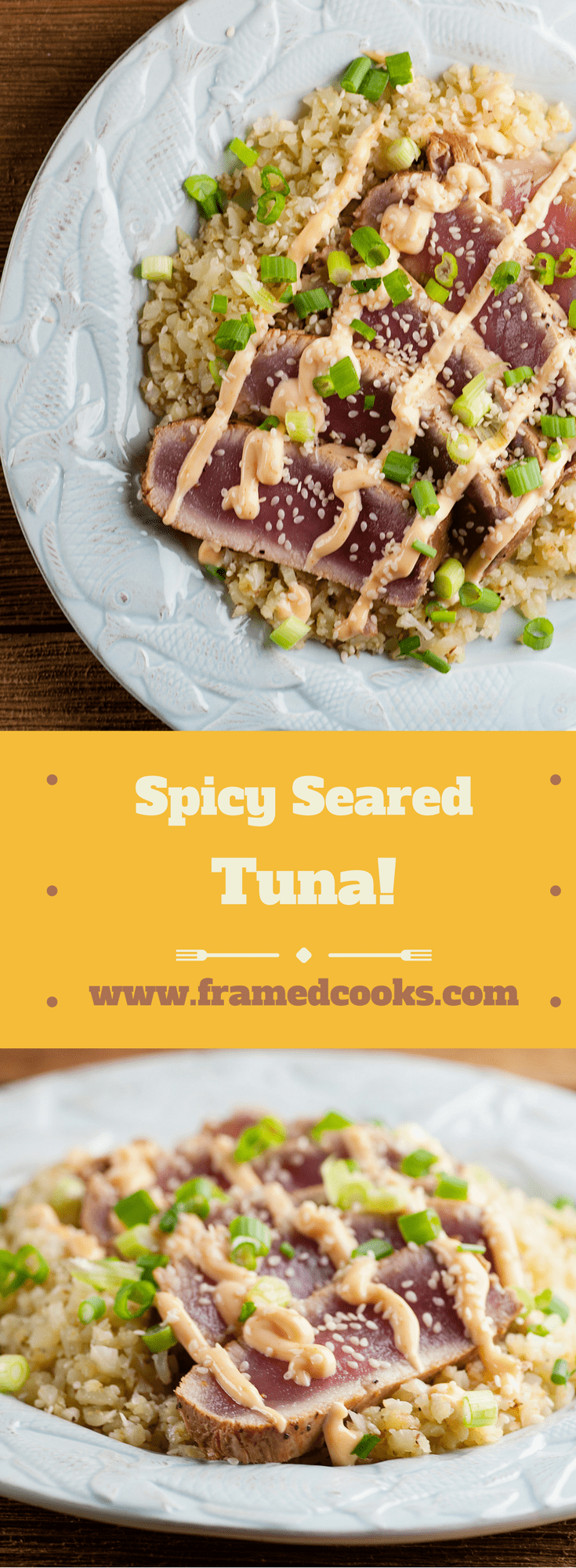 Spicy Seared Tuna - Framed Cooks